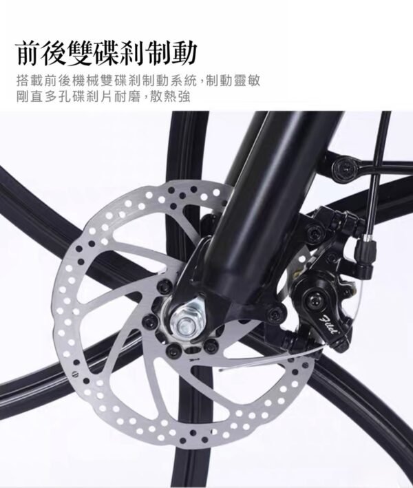 幅條輪淑女代步車—淺綠