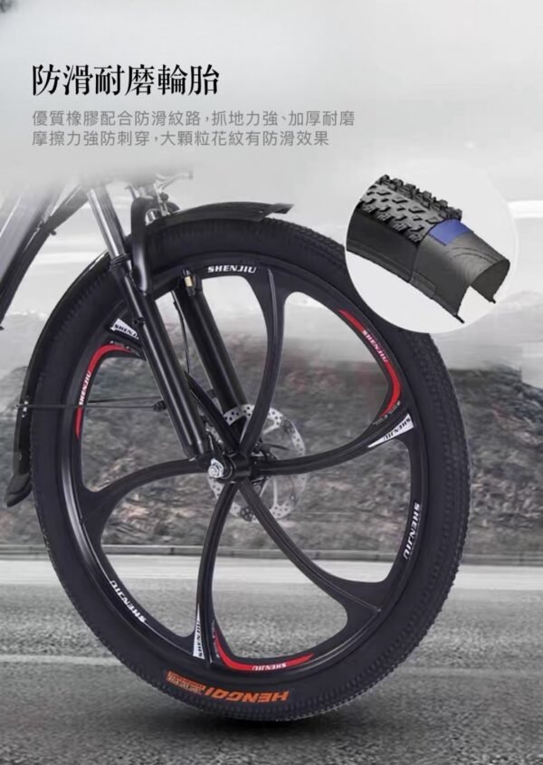 幅條輪淑女代步車—淺綠