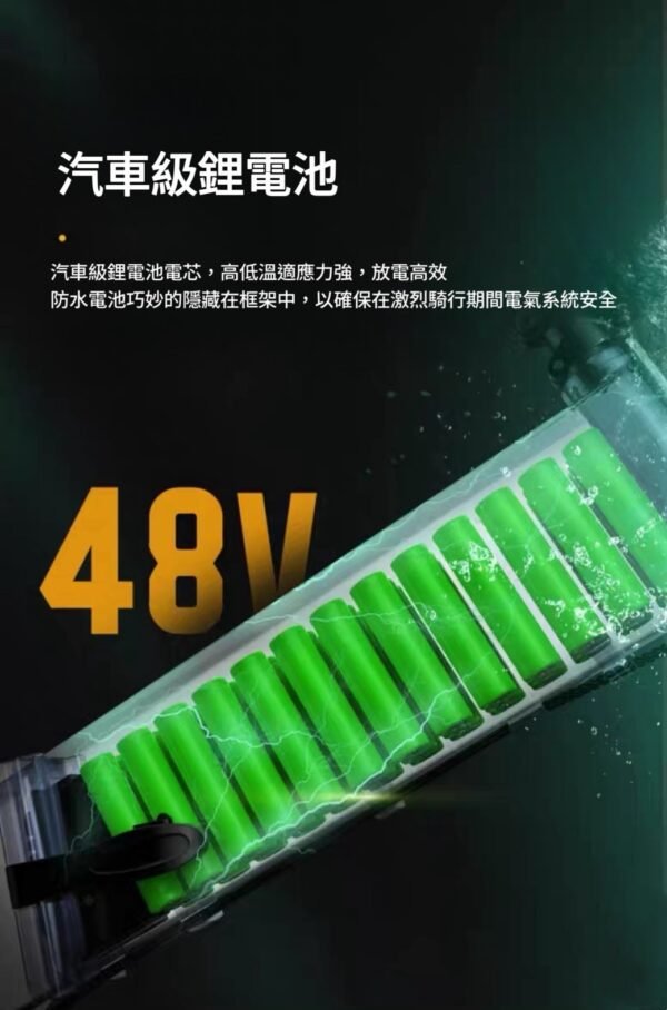 一體輪肥胎越野車—黑色、咖色