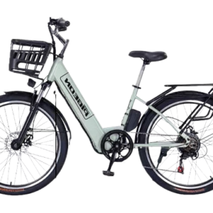 幅條輪淑女代步車—淺綠